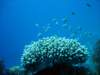 dsc05278_small.jpg