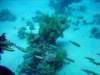 dsc05280_small.jpg