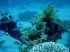 dsc05281_small.jpg