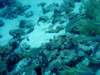 dsc05282_small.jpg