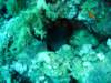 dsc05283_small.jpg