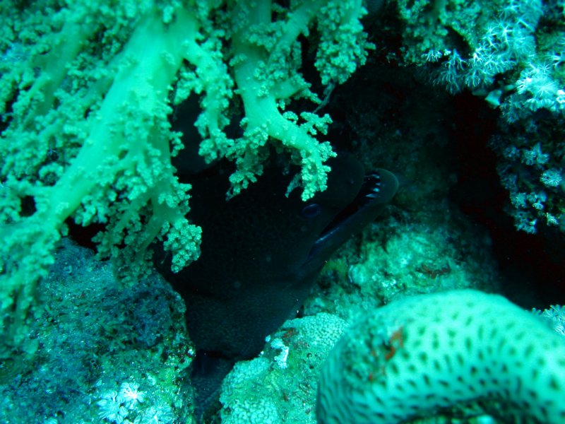 dsc05284.jpg