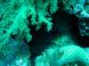 dsc05284_small.jpg