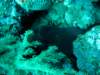 dsc05285_small.jpg