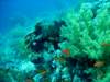 dsc05286_small.jpg