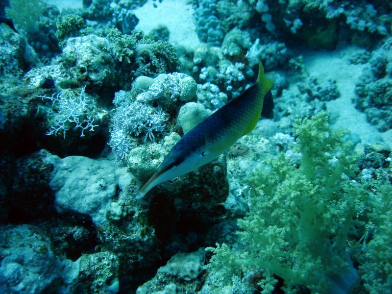 dsc05287.jpg