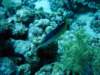 dsc05287_small.jpg