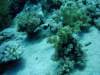 dsc05288_small.jpg