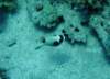 dsc05289_small.jpg
