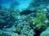 dsc05290_small.jpg
