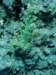 dsc05291_small.jpg
