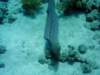 dsc05292_small.jpg