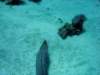 dsc05293_small.jpg