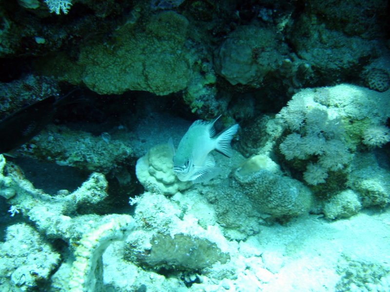 dsc05300.jpg
