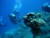 dsc05310_small.jpg