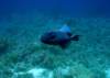dsc05311_small.jpg