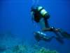 dsc05312_small.jpg