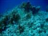 dsc05313_small.jpg