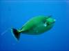 dsc05314_small.jpg