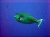 dsc05315_small.jpg