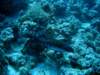 dsc05316_small.jpg
