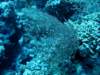 dsc05317_small.jpg