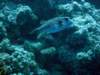 dsc05318_small.jpg