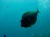 dsc05320_small.jpg