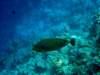 dsc05321_small.jpg