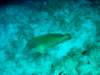 dsc05322_small.jpg