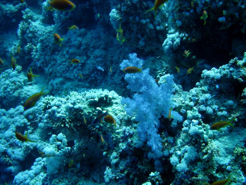 dsc05323.jpg