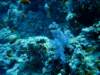 dsc05323_small.jpg