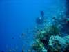dsc05324_small.jpg
