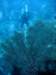 dsc05325_small.jpg