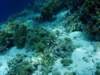 dsc05327_small.jpg