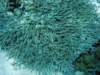 dsc05328_small.jpg