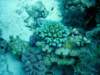 dsc05329_small.jpg