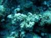 dsc05330_small.jpg