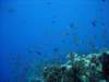 dsc05331_small.jpg
