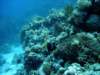 dsc05332_small.jpg
