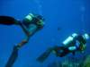 dsc05333_small.jpg