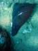 dsc05345_small.jpg