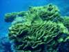 dsc05346_small.jpg