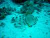 dsc05349_small.jpg