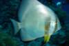 dsc05350_small.jpg
