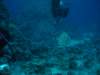 dsc05351_small.jpg