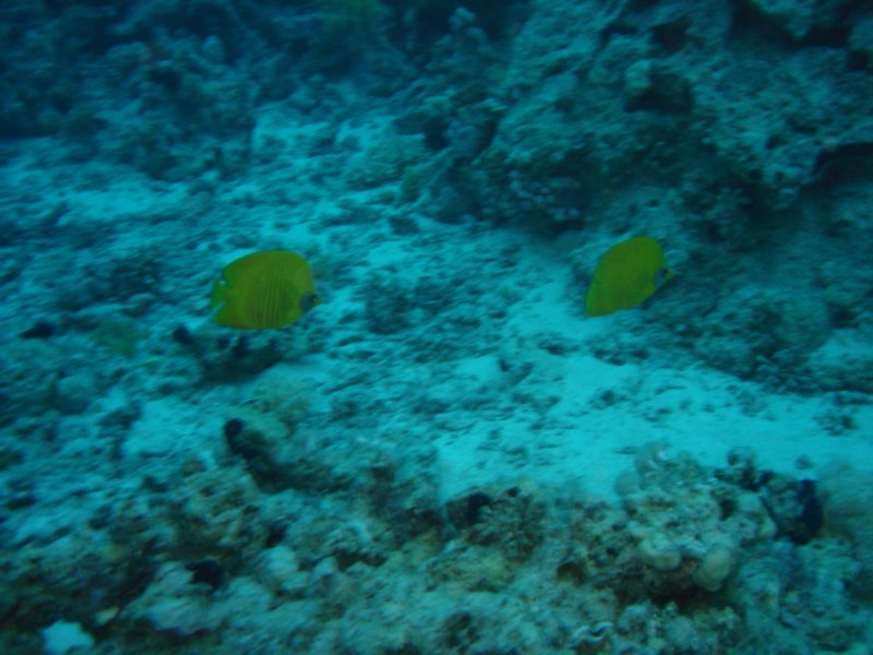 dsc05352.jpg