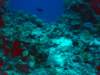 dsc05355_small.jpg