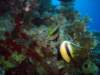 dsc05358_small.jpg