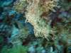 dsc05359_small.jpg